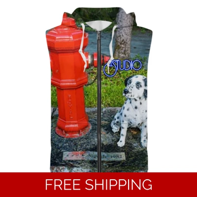 Custom Zipper Sleeveless Hoodie Rush Signals Statue